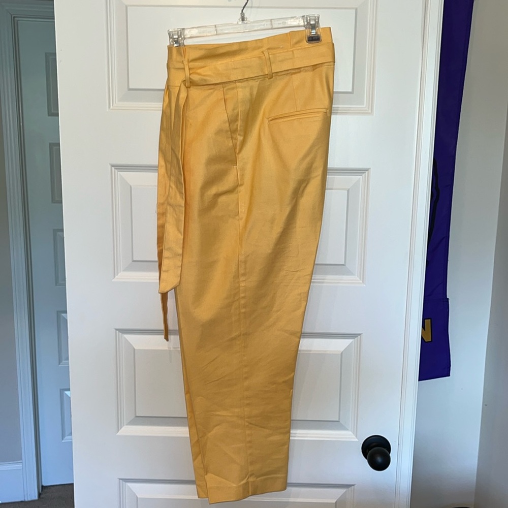 Ann Taylor Factory Pants
